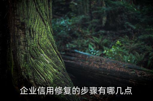 企业信用修复的步骤有哪几点
