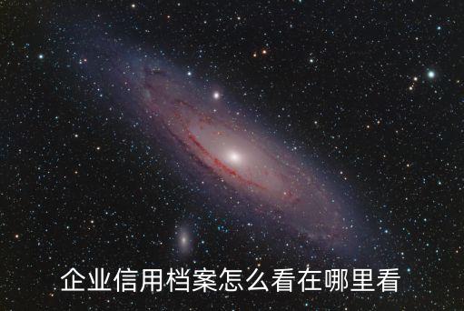 企业信用档案怎么看在哪里看