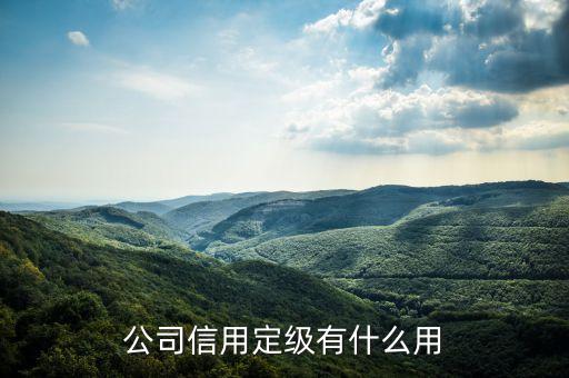 公司信用定级有什么用