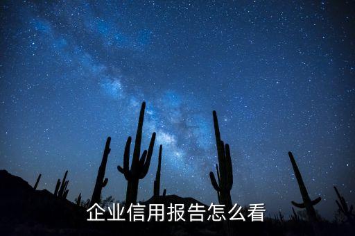 企业信用报告怎么看