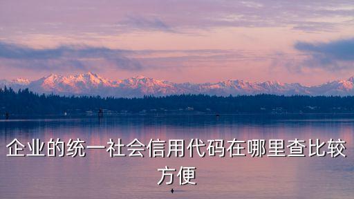 达达企业信用代码在哪里查，企业的统一社会信用代码在哪里查比较方便