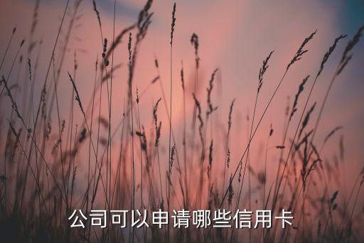 公司可以申请哪些信用卡