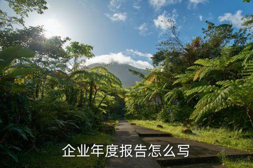 企业年度报告怎么写
