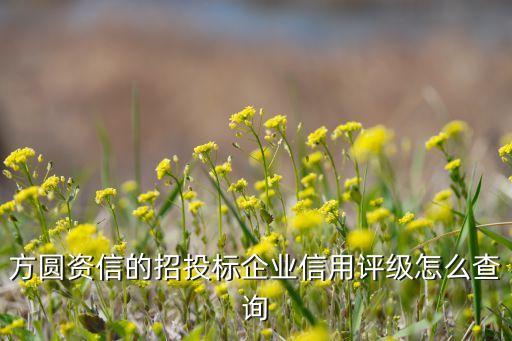 方圆资信的招投标企业信用评级怎么查询