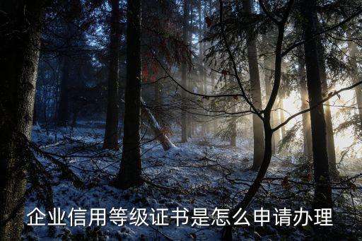 企业信用等级证书是怎么申请办理