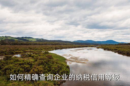 如何精确查询企业的纳税信用等级