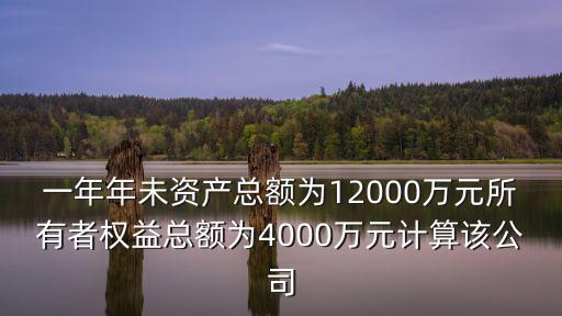 一年年未资产总额为12000万元所有者权益总额为4000万元计算该公司
