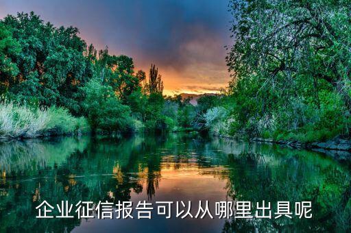 企业征信报告可以从哪里出具呢