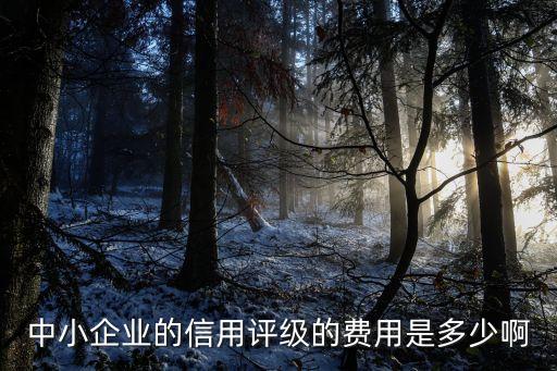 潮州企业信用评级多少钱，第三方信用服务机构出具的综合性信用评估报告什么价格