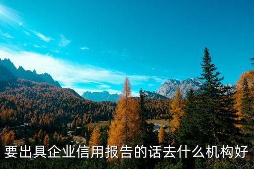 要出具企业信用报告的话去什么机构好