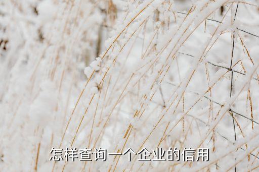 怎样查询一个企业的信用