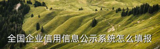 全国企业信用怎么申报，全国企业信用信息公示系统怎么报送年度报告