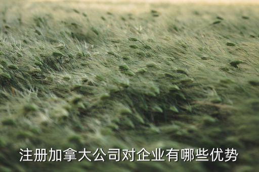 加拿大企业信用如何，加拿大CIBS公司的信誉好吗