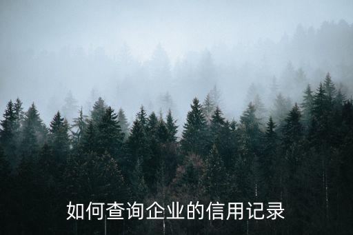 如何查询企业的信用记录