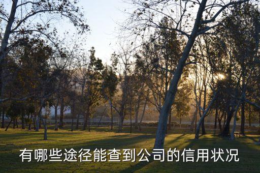 有哪些途径能查到公司的信用状况