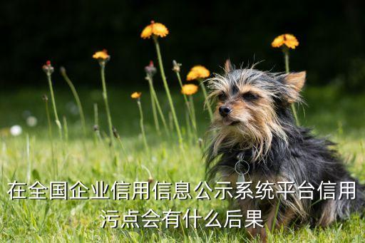 企业信用污点怎么消防，打官司公司信用怎么消除
