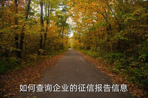 如何查询企业的征信报告信息