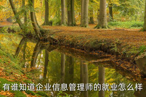 有谁知道企业信息管理师的就业怎么样