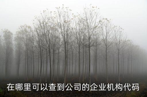 在哪里可以查到公司的企业机构代码