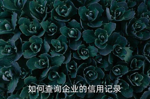 企业信用中国的路径怎么查，怎样查询一个企业的信用