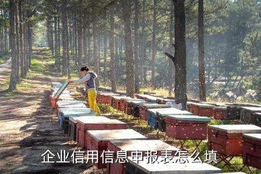 企业信用信息申报表怎么填