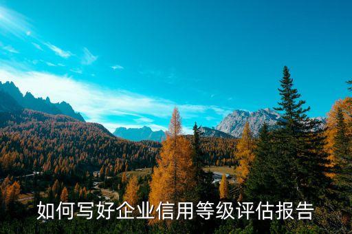 如何写好企业信用等级评估报告