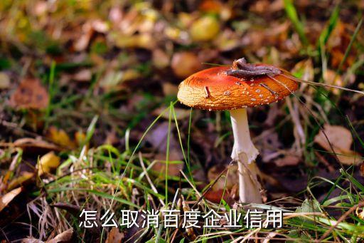 怎么取消百度企业信用