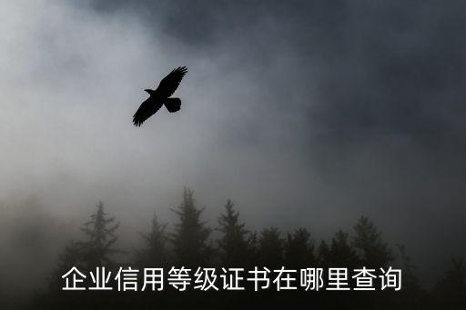 如何查询企业信用评级，如何查询企业是否评级