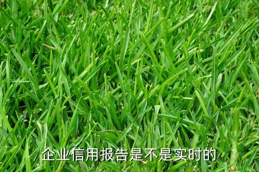 企业信用报告怎么更新，企业信用报告是不是实时的