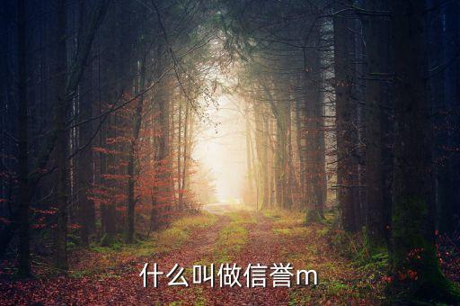 什么叫做信誉m