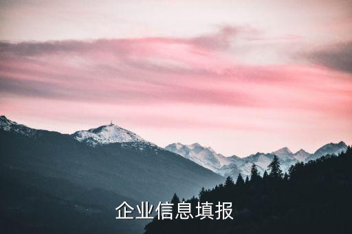 企业信息填报