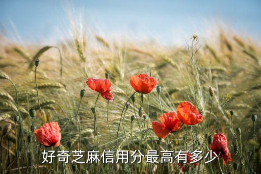 好奇芝麻信用分最高有多少