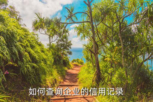 本市企业信用报告怎么查，企业信用报告怎么看