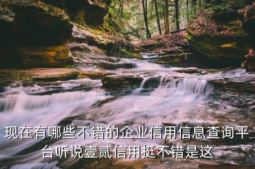 现在有哪些不错的企业信用信息查询平台听说壹贰信用挺不错是这