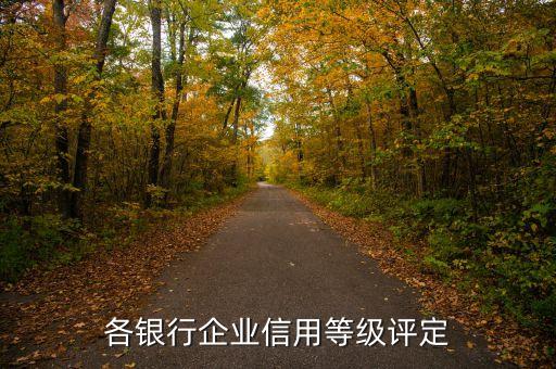 各银行企业信用等级评定