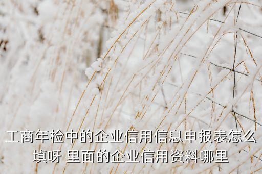 工商年检中的企业信用信息申报表怎么填呀 里面的企业信用资料哪里
