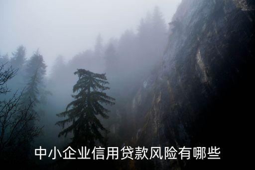 中小企业信用贷款风险有哪些