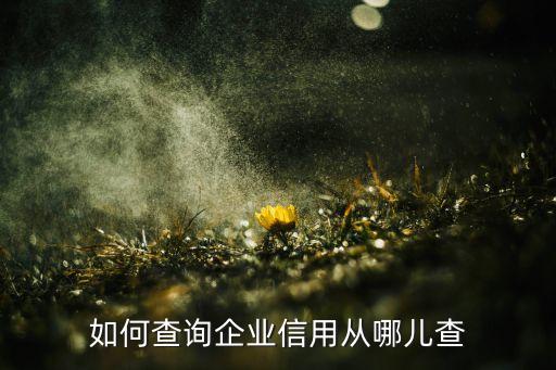 如何查询企业信用从哪儿查