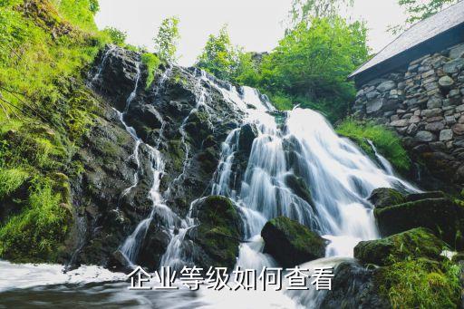 企业等级如何查看
