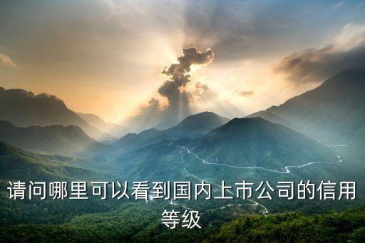 请问哪里可以看到国内上市公司的信用等级