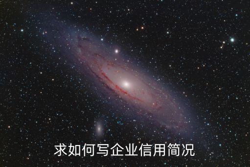 企业信用度怎么填，求如何写企业信用简况