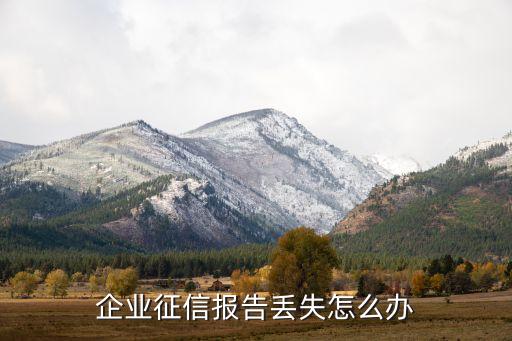企业征信报告丢失怎么办