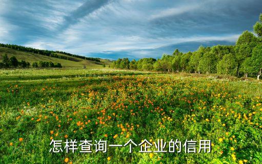 怎样查询一个企业的信用