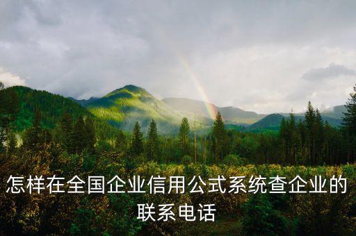 怎样在全国企业信用公式系统查企业的联系电话