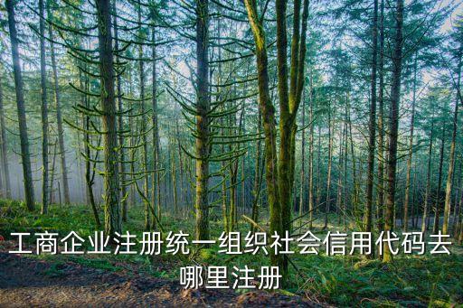 工商企业注册统一组织社会信用代码去哪里注册
