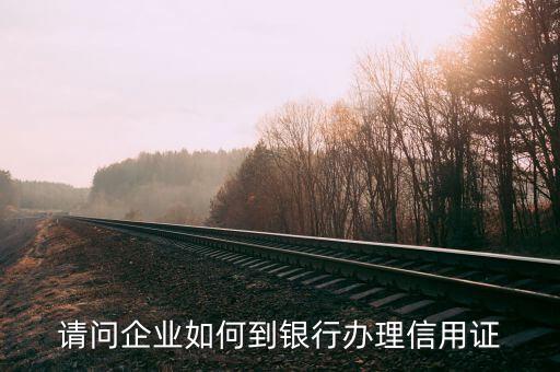 请问企业如何到银行办理信用证
