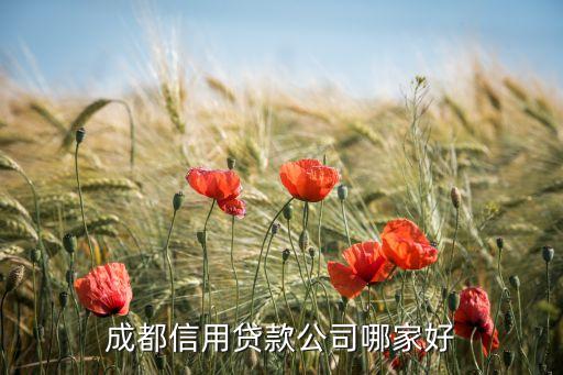 成都信用贷款公司哪家好