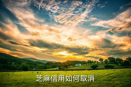 芝麻信用如何取消