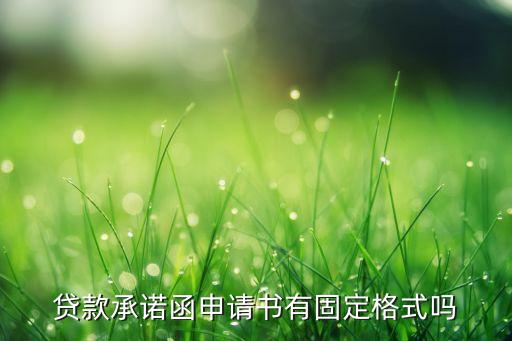 贷款承诺函申请书有固定格式吗