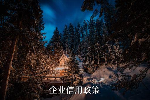 企业信用的内容不包括哪些，企业信用政策